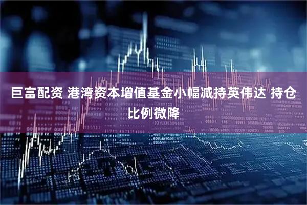 巨富配资 港湾资本增值基金小幅减持英伟达 持仓比例微降